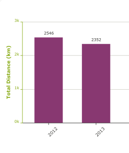 Endomondo20122013